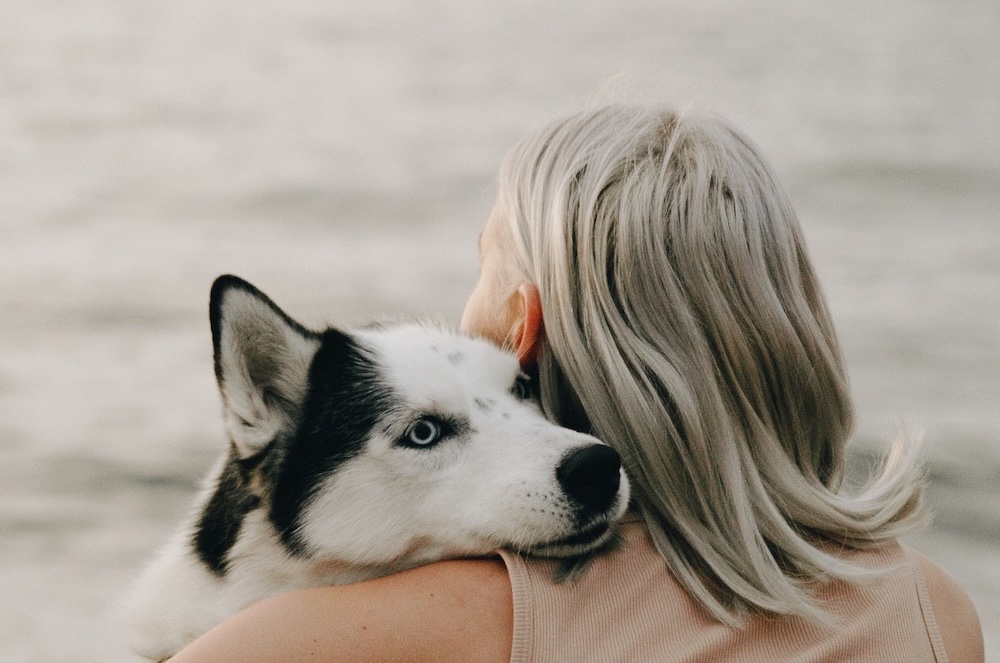 Woman with permanent resident visa staying with her dog in Japan