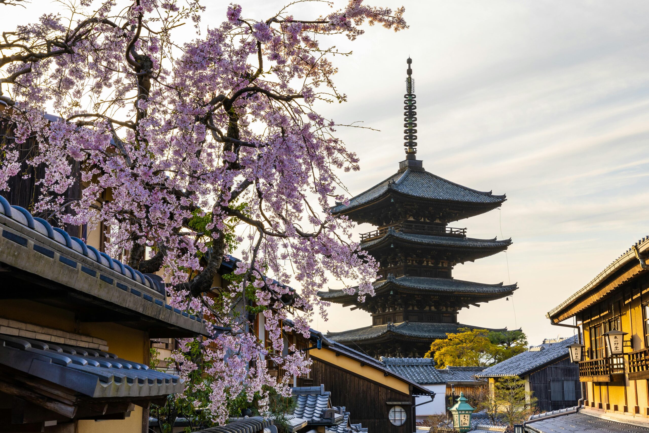 Japan a popular destination for foreign nationals with digital nomad visa