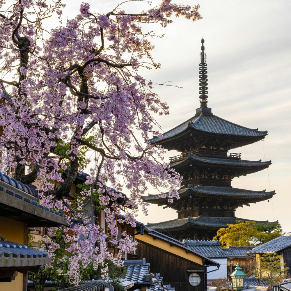 Japan a popular destination for foreign nationals with digital nomad visa